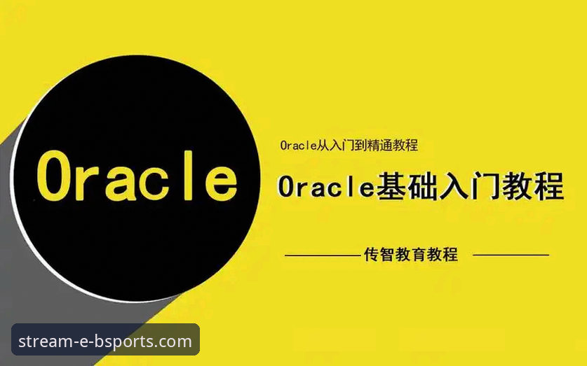 b体育注册教程安卓版 b体育平台安卓客户端:一次从下载到实战的深度评测与注册教程解析
